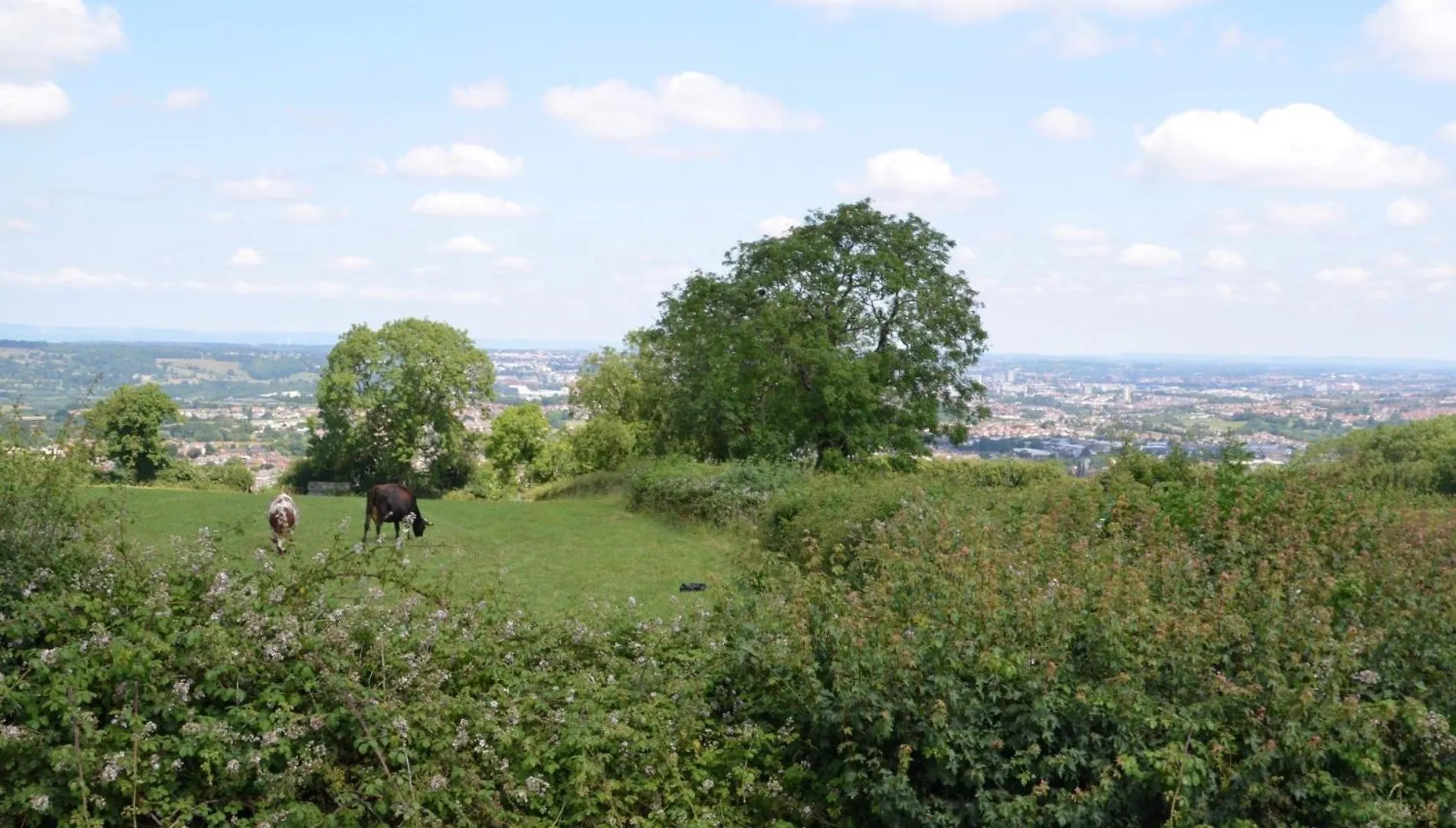 2 Bed In Bristol 75697 Villa United Kingdom